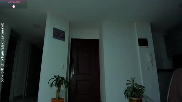 alexander_martines 21-11-2025 video jerking