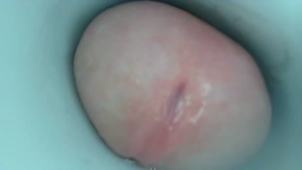 jeffrodgerschaturbat 24-11-2025 video suck