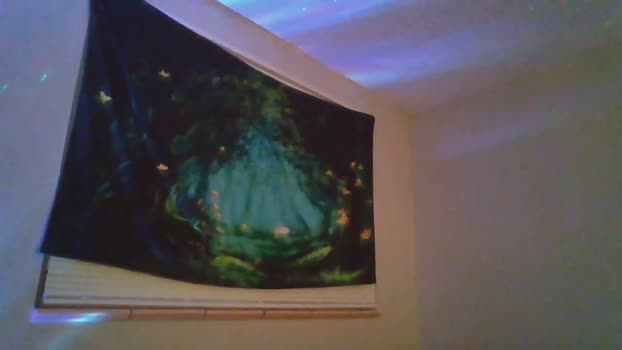 wolfeincontrol 24-11-2025 video jerking