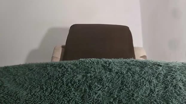 alotofcream 25-11-2025 video oral