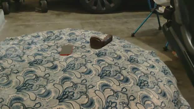 originalcali95 Couple Chaturbate 24-11-2025