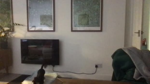 camdoattitude 25-11-2025 video Webcam