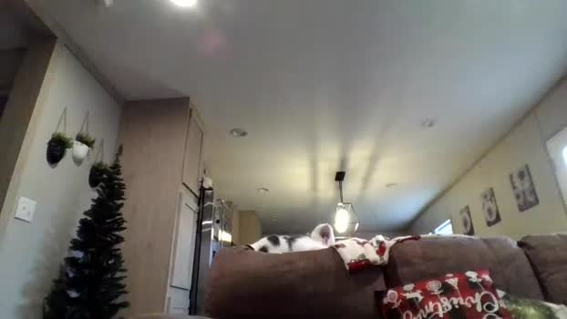 valvenus101 25-11-2025 video fuckface