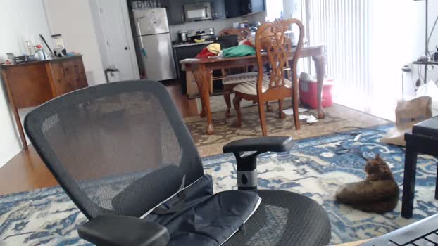 cockandface2468215 27-11-2025 video ass