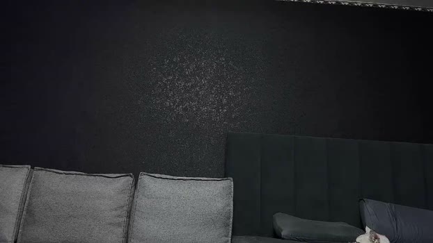 technohotgod 28-11-2025 video toy