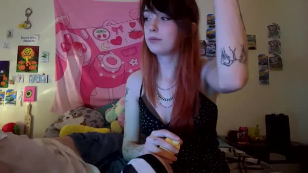 thick_as_fook Chaturbate Couple 02-12-2025