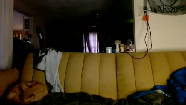 kipsy420 Chaturbate Female 04-12-2025