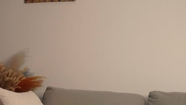 noirelysia Chaturbate Female 08-12-2025