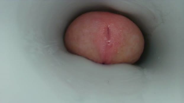 jeffrodgerschaturbat 12-12-2025 video suck