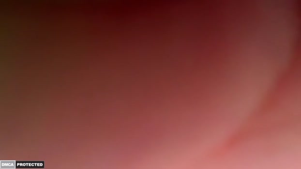 lolhay123 12-12-2025 video sexymale