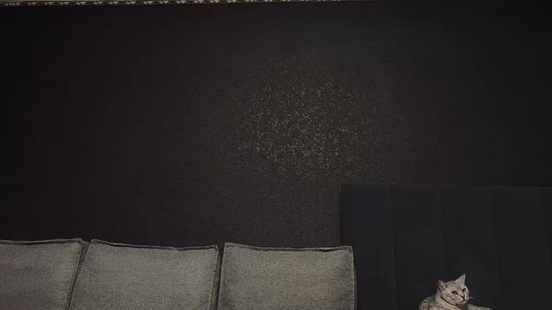 technohotgod 22-12-2025 video sexybody