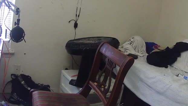 charlied09302 23-12-2025 video beauty