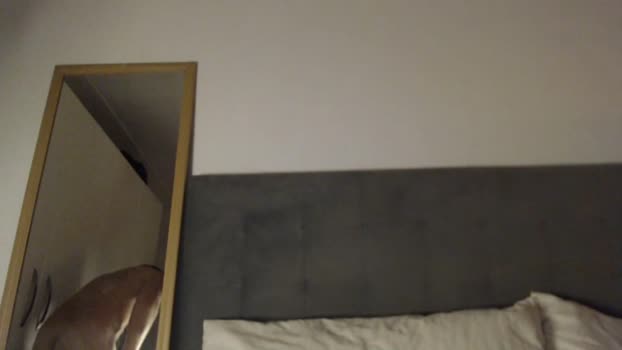 tarzan_thejungleboy 23-12-2025 video strip