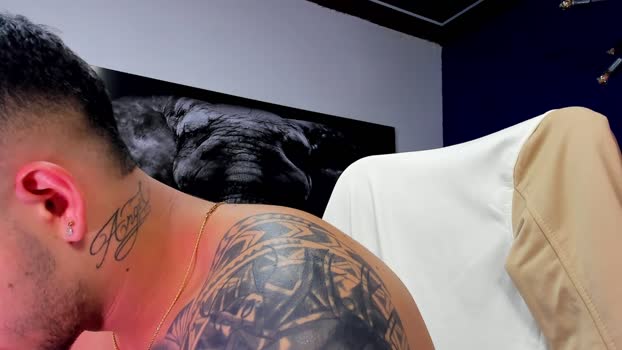 king_falconer 25-12-2025 video strip