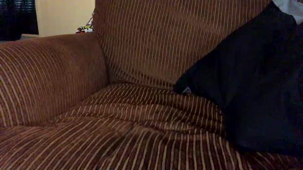 thickcockblacklightskin 27-12-2025 video lick