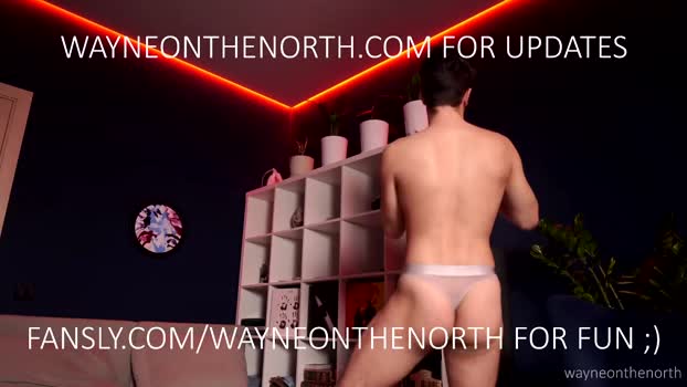 waynenorth 27-12-2025 video fuckass