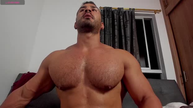 curt_x 29-12-2025 video bigload