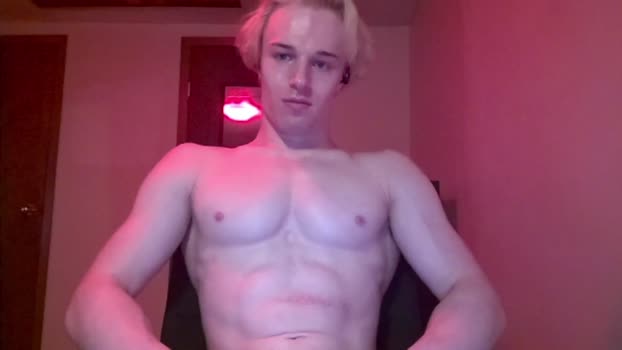 thelevimeyers 29-12-2025 video toy