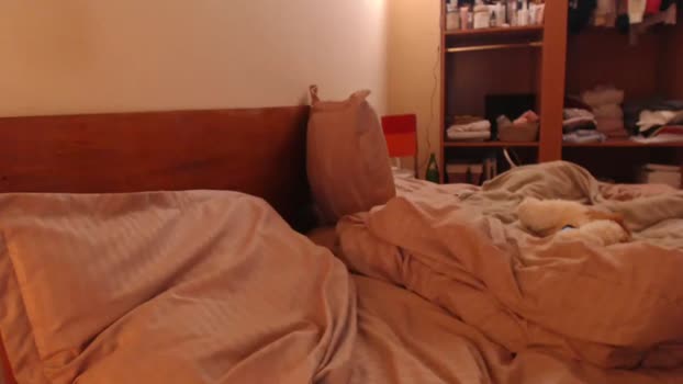 andrasweetie Chaturbate Couple 01-01-2026