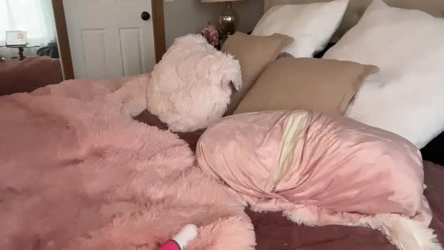 officiallyonlytams Chaturbate Couple 31-12-2025