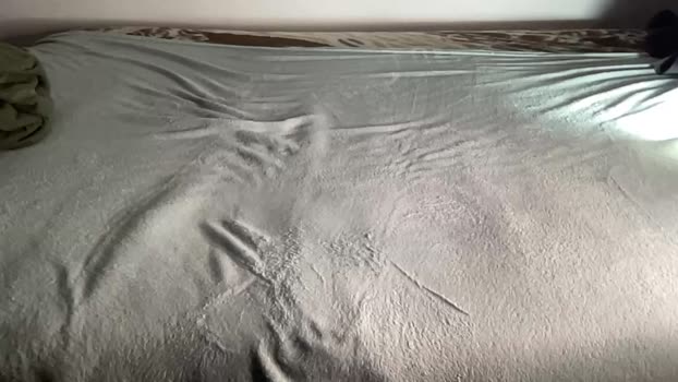 bestdick1991 02-01-2026 video ass