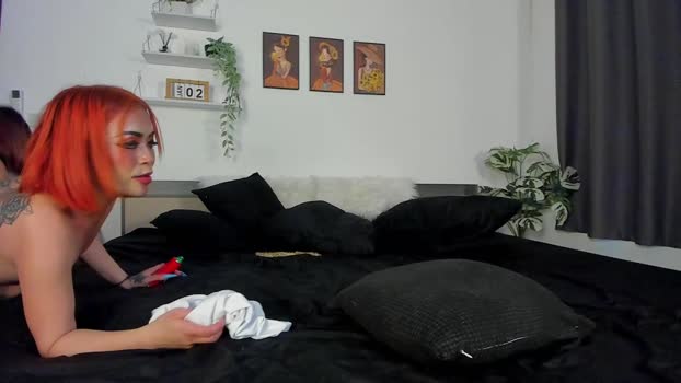 dongfatherproductions Chaturbate Couple 03-01-2026