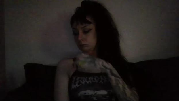 livmirage Chaturbate Female 04-01-2026
