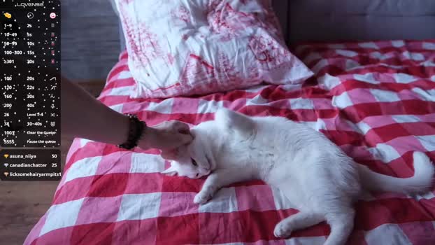 rob_ranger 05-01-2026 video XXX