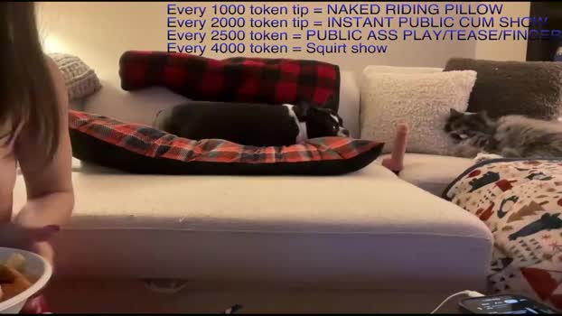 bfngfadventures Chaturbate Couple 05-01-2026