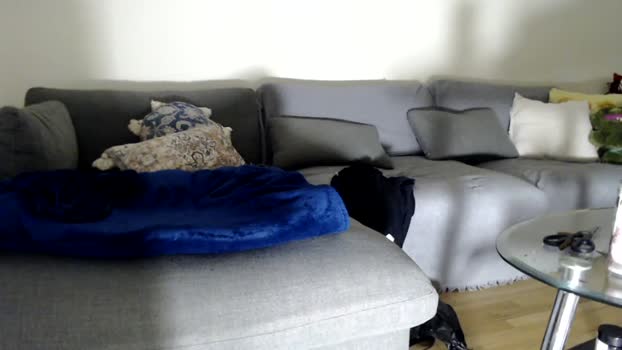 shenanig00n 06-01-2026 video toys