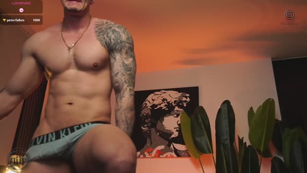 thomas_falcon1 08-01-2026 video toys