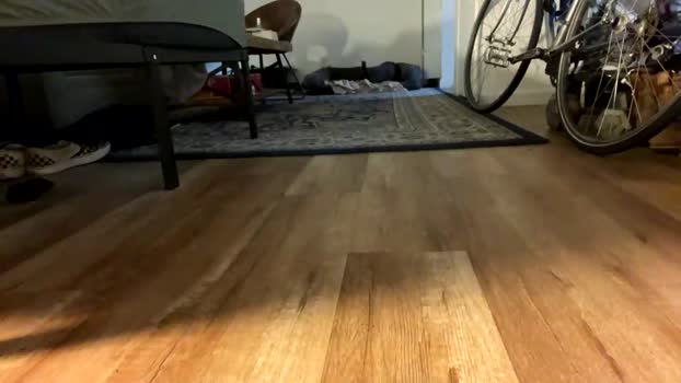 afcrider 08-01-2026 video beautiful