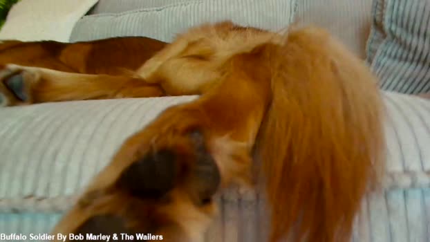 x_lily_x Chaturbate Female 09-01-2026