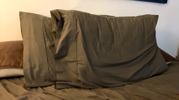 afcrider 10-01-2026 video ass