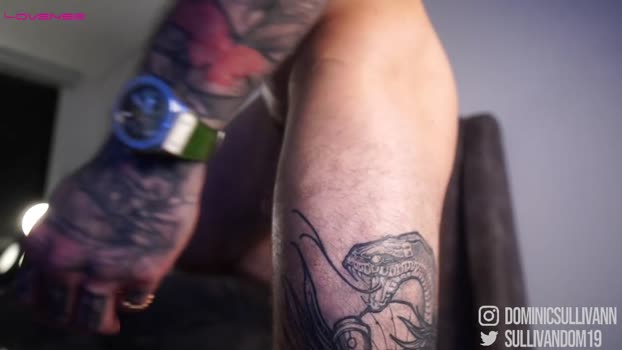 dominic_sullivan1 11-01-2026 video kink