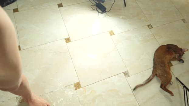 heybanan Chaturbate Female 16-01-2026