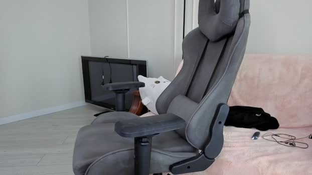 artycropp 21-01-2026 video spanking