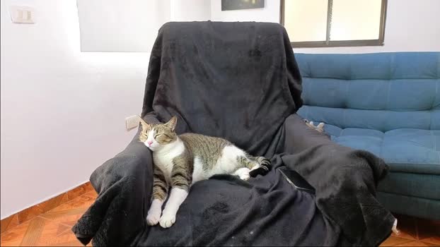 ethangreey1 20-01-2026 video lovense