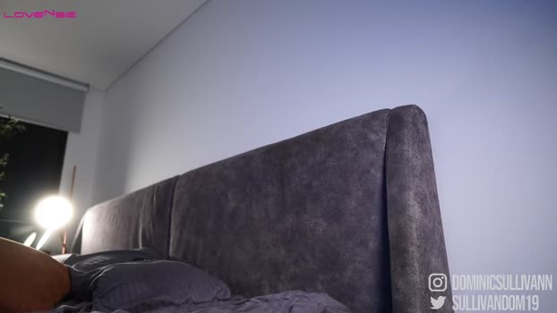 dominic_sullivan1 23-01-2026 video nasty