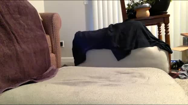 bored_dad3 24-01-2026 video skinny