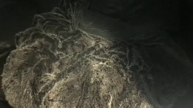 one2343 24-01-2026 video blowjob