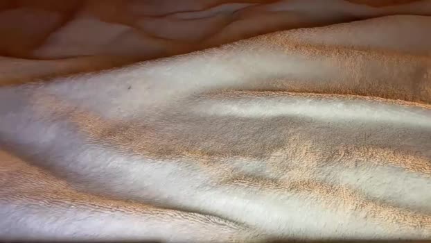 jamesdean0101 28-01-2026 video orgasm