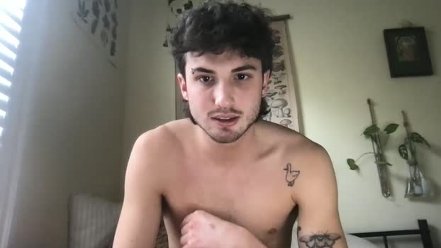 madtyy 28-01-2026 video nasty