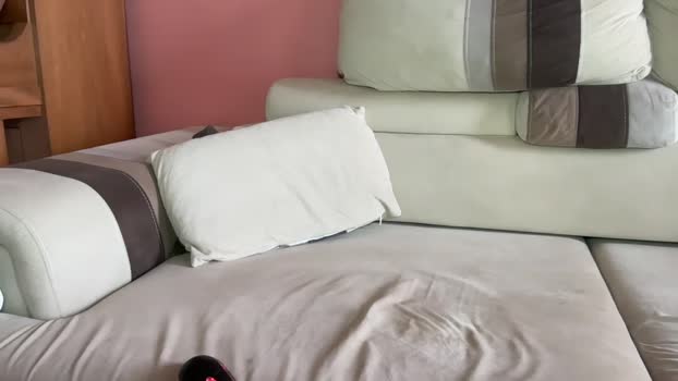 thepyngwieee 28-01-2026 video bigtoys