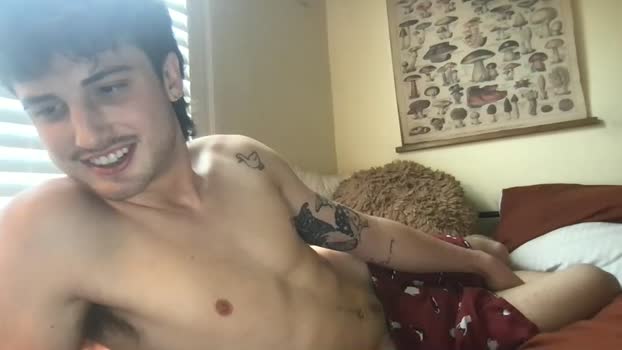 madtyy 29-01-2026 video bj-dildo