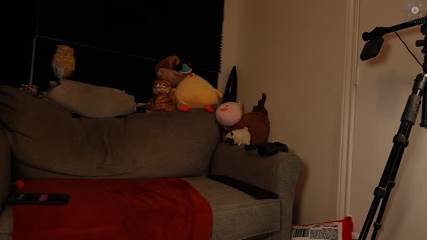 rndmzd 30-01-2026 video cute