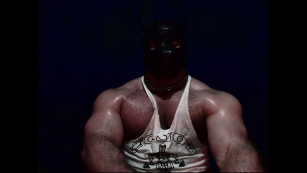 curiousmuscleboy 31-01-2026 video strip