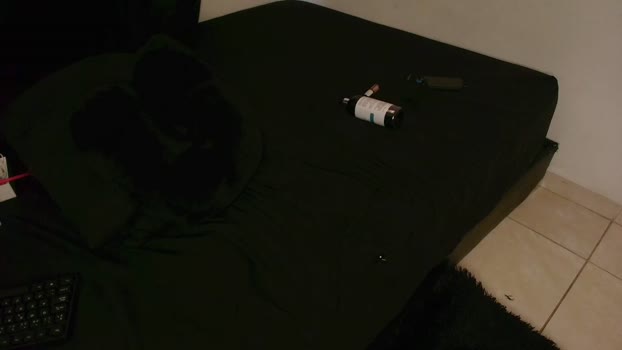demian_melany_ Chaturbate Couple 30-01-2026