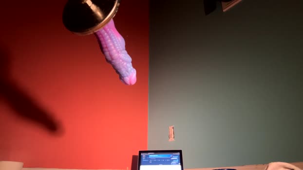 mr_a420 31-01-2026 video big