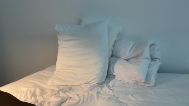 nfeibk 01-02-2026 video nasty